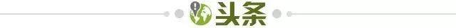 ee394350-a635-4993-8eee-e54991d82d55.jpg@!img01